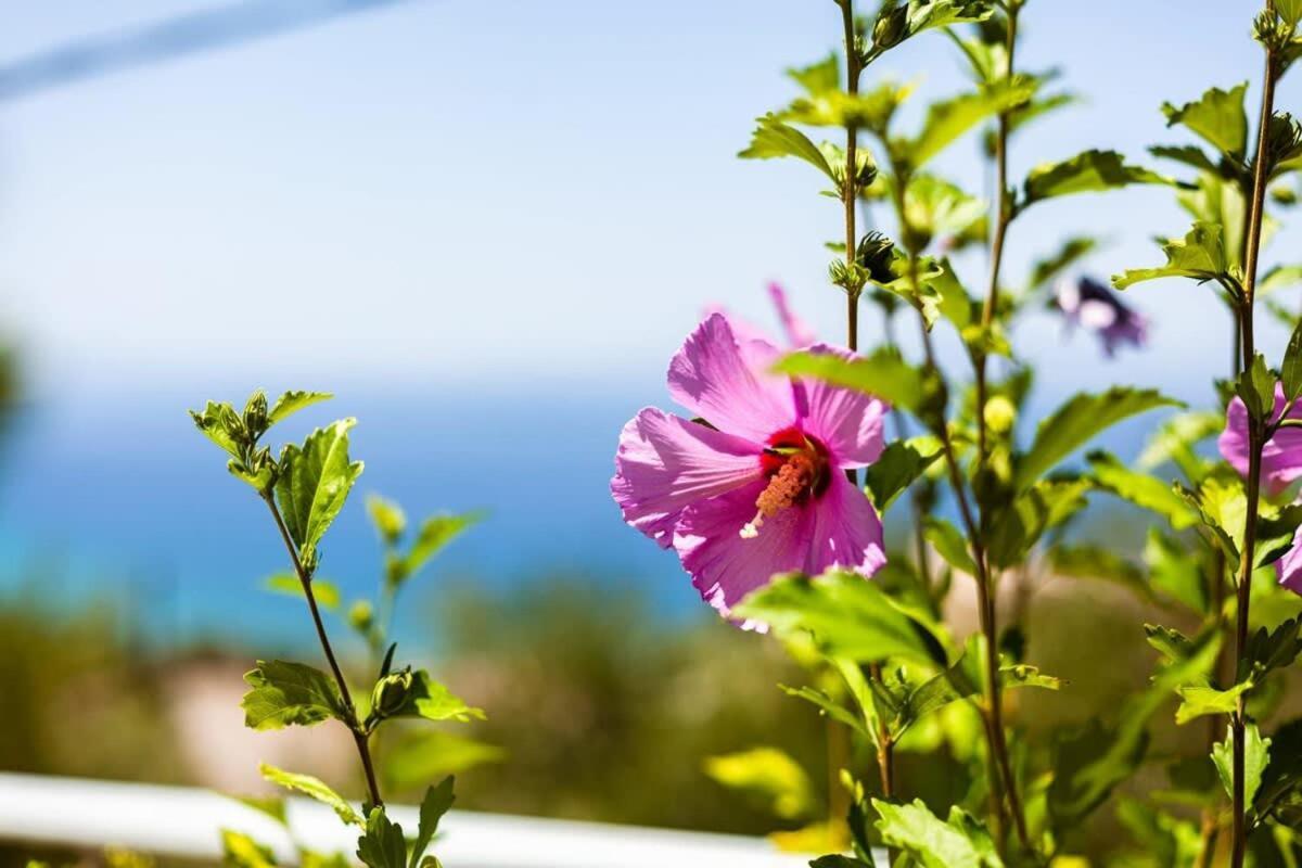 הוילה קלמאטה Aigli Fully Equipped Getaway - Seaview Lux Retreat מראה חיצוני תמונה